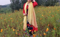 海贼王分集剧情介绍